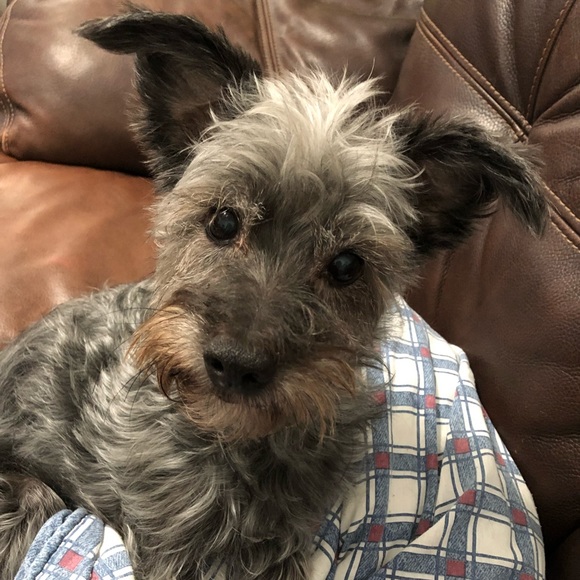 Meet your Posher, Lisa - Picture 7 of 8